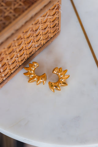 Sweet Curve Earrings